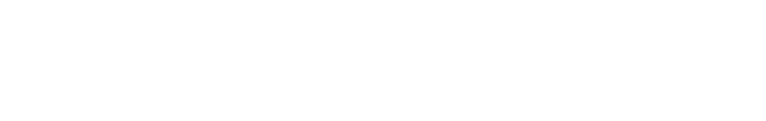 Wienerberger